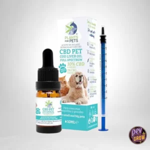 PLANT OF REMEDY HAUSTIER ÖL 10