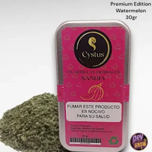 PREMIUM EDITION WASSERMELONE 5