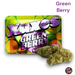 XUXES CBD BUDS 3 GR