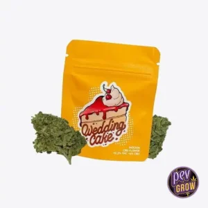 GORILLA GRILLZ CBD BLÜTEN 5