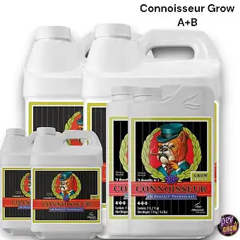 Nutrienti avanzati Connoisseur Grow A+B Ph Perfect