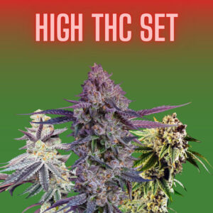 Set Cannabissamen - Alto THC - 3x3 Sementi