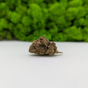 CBD - Arlecchino (5% CBD)