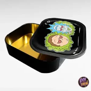 Vassoio in metallo 18x14 cm con scatola Ricky & Morty