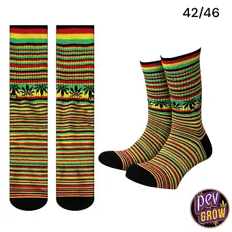 420 Calzini Rasta