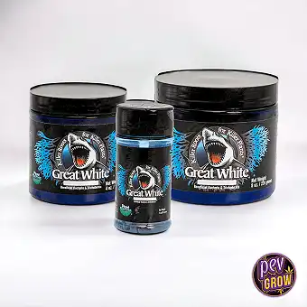Complesso micorrizico Great White Premium
