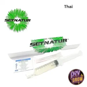 Spore di funghi magici Thai Setnatur