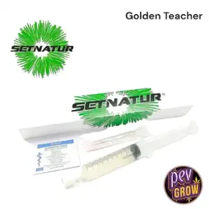 Esporas Golden Teacher Setnatur