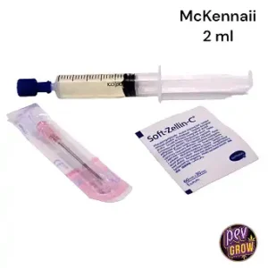 Speroni Siringa Mckennaii