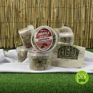 Kit per la coltivazione di tartufi magici fantasy
