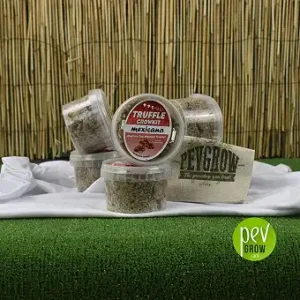 Kit per la coltivazione di tartufi magici messicani