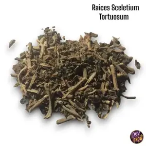 Radici di Canna Biologiche - Sceletium Tortuosum...