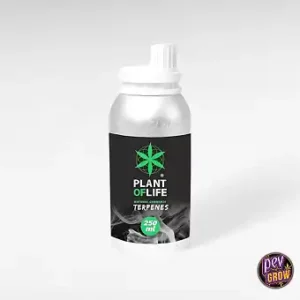 Terpeni di cannabis 250 ml